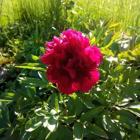 Erholung Auf Dem Land Zwischen Ostsee Und Schlei