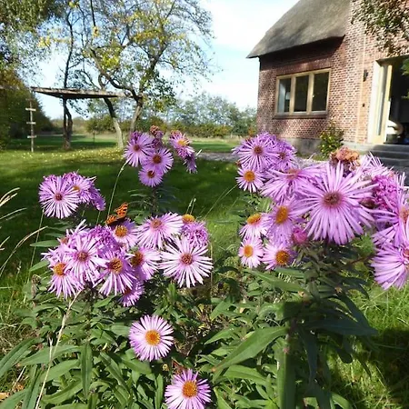 Erholung Auf Dem Land Zwischen Ostsee Und Schlei Ferienhaus