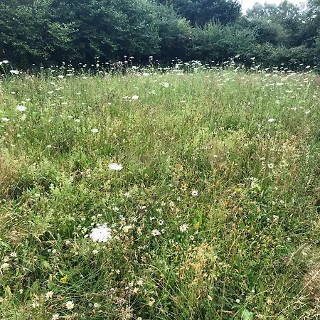 Erholung Auf Dem Land Zwischen Ostsee Und Schlei * Stoltebull